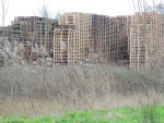 MS Pallets
